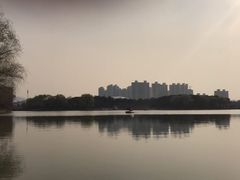 -昆山城市生态森林公园