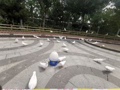 -南宫五洲植物乐园