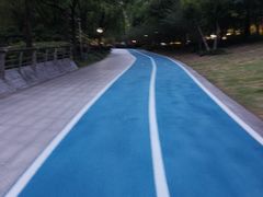 -南翔镇银翔湖公园