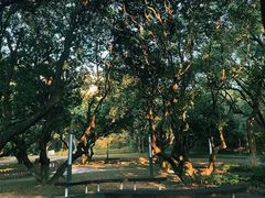 -燕晗山郊野公园