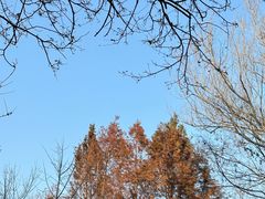 -幕燕滨江·燕子矶公园