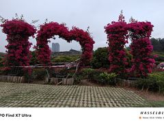 -东莞植物园