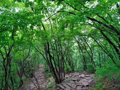 -妙峰山风景名胜区