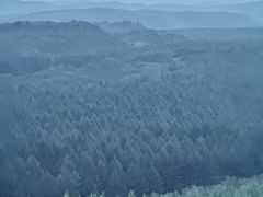 -塞罕坝国家级自然保护区