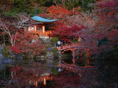 -醍醐寺