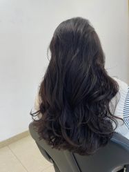 -YESIDO椰岛造型