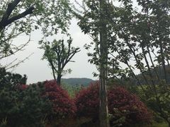 -冶父山国家森林公园
