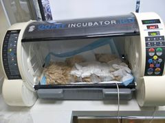 -康乐宝动物医院