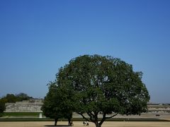-大明宫国家遗址公园·御道广场