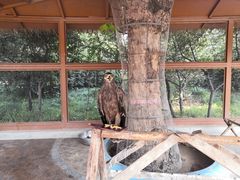 -辛玛王国游乐园