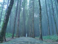 -山王坪喀斯特国家生态公园