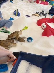 -超级奈尔宝SUPER NEOBIO(杭州星光店)