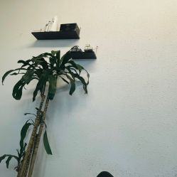 -优加东京秀烫染SALON