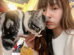 -猫小院猫主题餐厅(南锣旗舰店)