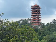 -缙云山景区