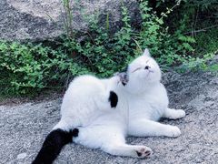 -北京凤凰岭