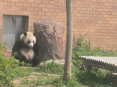 -苏州太湖国家湿地公园