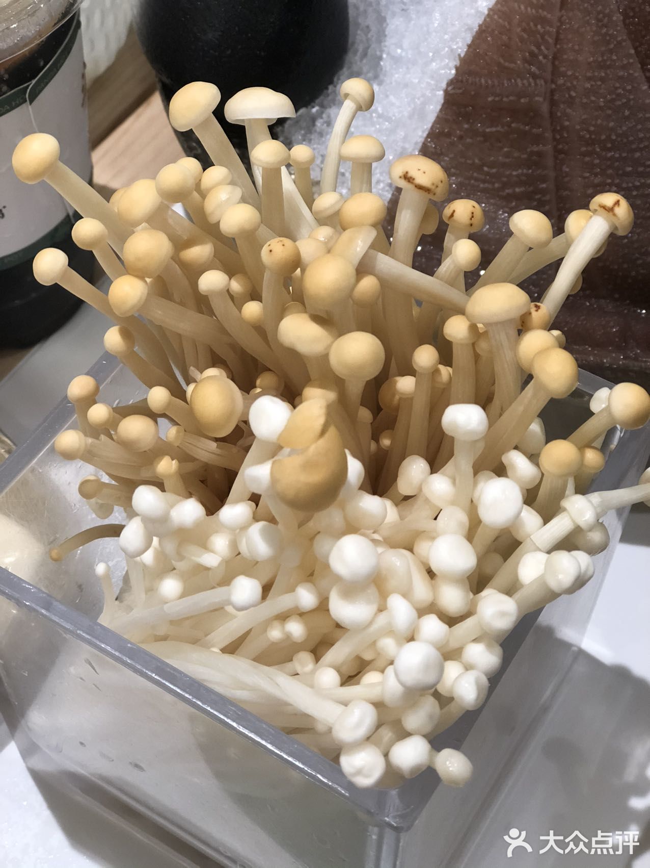 🐼🐼🐼熊猫烫🔥喊你过来吃火锅啦
