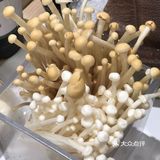 🐼🐼🐼熊猫烫🔥喊你过来吃火锅啦