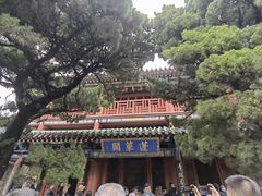 -蓬莱阁景区