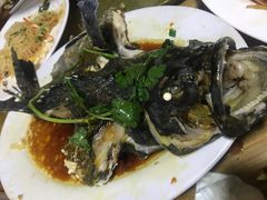 青衣鱼-岛中岛·海鲜大排档·万宁老字号(东澳店)
