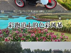 -花博汇(知音花月夜)