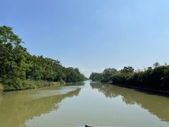 -大湾区中央湿地公园