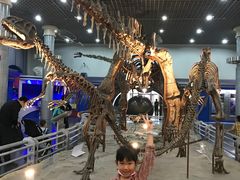 -国家自然博物馆