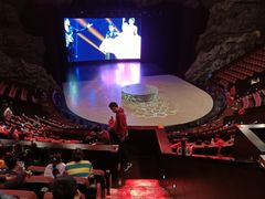 -重庆国际马戏城