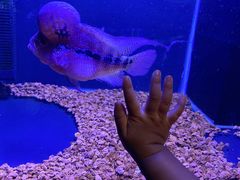 -zoonana室内动物园(东方福来德店)