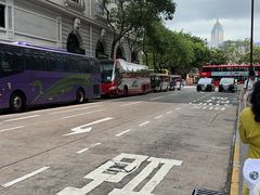 -Big Bus Tours 敞篷观光巴士