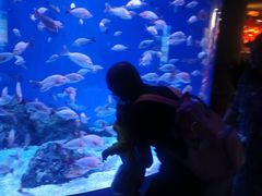 -成都浩海立方海洋公园