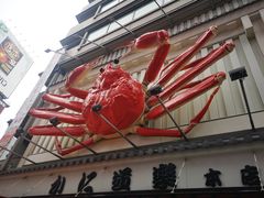 -蟹道乐(網元別館店)