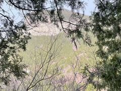 -佛慧山