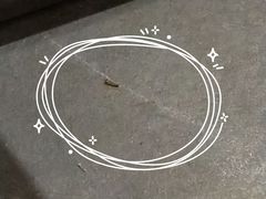 -楚湘苑(商品街大道店)