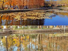 -八大关景区