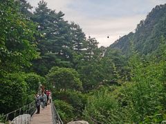 -苍山感通索道