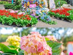 -龙凤山庄影视度假村