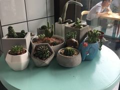 -蜜蜂小象·榴莲千层蛋糕(时代汇11栋店)