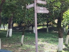 -永安龟山公园
