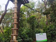 -芦仙山景区-飞越丛林探险乐园