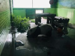 -石家庄市动物园