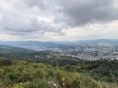 -长虫山生态公园风景林