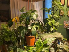 -Thai Basil罗勒叶泰式餐厅(时代天街店)