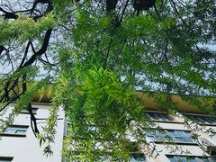 -山东师范大学(千佛山校区)