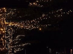 -深圳湾万象城(南山店)