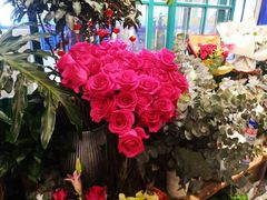 -BOBLOOM花店(宝龙旭辉广场店)