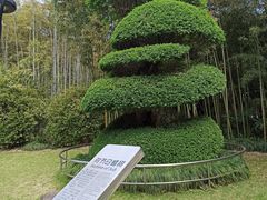 -苏州河梦清园环保主题公园