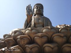 -龙口南山旅游景区