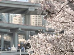 -南浦大桥长途旅游客运站